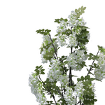 Διακοσμητικό Φυτό Bean Flowers σε Γλάστρα Inart Λευκό pp Υ125εκ