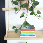 Ραφιέρα Τοίχου Rabia Pakoworld Φυσικό Ξύλο Φυσικό 99x16x170εκ