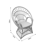 Πολυθρόνα Boloni Inart με Μπεζ Μαξιλάρι-Φυσικό Rattan 100x67x120εκ