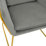 Πολυθρόνα Mira Pakoworld Βελούδο Γκρι-Χρυσό 65x69x86εκ