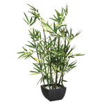 Φυτό σε Γλάστρα Green Pakoworld 43x34x67εκ