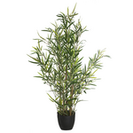 Φυτό σε Γλάστρα Green10 Pakoworld 63x55x90εκ
