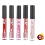 Lorin Hot Deal Set 5pcs Ανεξίτηλα Lipgloss Matte Mix Shades