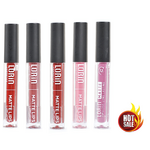 Lorin Hot Deal Set 5pcs Ανεξίτηλα Lipgloss Matte