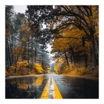 Πίνακας σε Καμβά Savgone Pakoworld Ψηφιακής Εκτύπωσης 50x1.8x50εκ