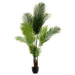 Φυτό σε Γλάστρα Green9 Pakoworld 114x105x180εκ