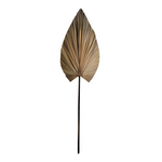 Διακοσμητικό Φύλλο Leafen Pakoworld Φυσικό Palm Leaf 150 εκ