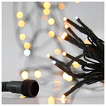 Σειρα, 100 led 3mm, 31v Μετασχηματιστη, 4 Επεκτασεις ωσ 3 Σετ, Πρασινο pvc Καλωδιο, Θερμο Λευκο led + 9 Λευκα Flash Led, ana 10cm, Προεκταση Παροχης 3m, Ιρ44