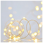 Σειρα, 100 Μινι Led, 4,5v, Σταθερο, με Μετασχηματιστη, Προεκταση Παροχης 500cm, Ασημι Χαλκος, Daylight Led, ana 10cm, Ιρ44