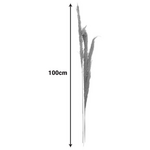 Διακοσμητικό Φυτό Pampas Beroun Inart σετ των 3τεμ σε Φυσική Απόχρωση Υ140εκ