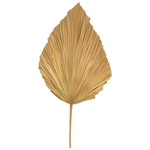 Διακοσμητικό Φύλλο Walsy Inart Palm Leaf σε Φυσική Απόχρωση Υ135 εκ