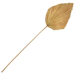 Διακοσμητικό Φύλλο Walsy Inart Palm Leaf σε Φυσική Απόχρωση Υ135 εκ