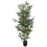 Διακοσμητικό Φυτό Bamboo σε Γλάστρα Inart Πράσινο pp Υ150εκ