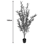 Διακοσμητικό Φυτό Olive Tree ii σε Γλάστρα Inart Πράσινο pp Υ160εκ