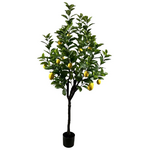 Διακοσμητικό Φυτό Lemon Tree σε Γλάστρα Inart Πράσινο pp Υ180εκ