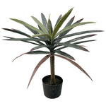 Διακοσμητικό Φυτό Dracaena Palm σε Γλάστρα Inart Πράσινο pp Υ62εκ