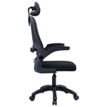 Φοιτητικό Πακέτο Επίπλων Γραφείου Phase Pakoworld σετ 2τεμ