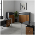 Ντουλάπια Γραφείου Επαγγελματικά Oscar Pakoworld Καρυδί-Ανθρακί 200x40x120εκ