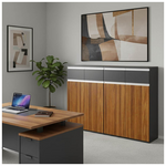 Ντουλάπια Γραφείου Επαγγελματικά Oscar Pakoworld Καρυδί-Ανθρακί 160x40x120εκ