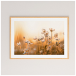 Πίνακας Floraza Pakoworld με Ψηφιακή Εκτύπωση και Πλαίσιο 48x1.5x33εκ