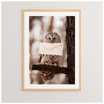 Πίνακας Owlyne Pakoworld με Ψηφιακή Εκτύπωση και Πλαίσιο 33x1.5x48εκ