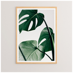 Πίνακας Leafy Pakoworld με Ψηφιακή Εκτύπωση και Πλαίσιο 33x1.5x48εκ