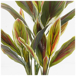 Διακοσμητικό Φυτό σε Γλάστρα Cycas Inart Πράσινο Φ55x80εκ