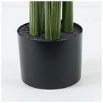 Διακοσμητικό Φυτό σε Γλάστρα Aglaonema Inart Πράσινο Φ80x150εκ