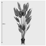 Διακοσμητικό Φυτό σε Γλάστρα Lucky Inart Πράσινο Φ80x180εκ