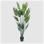 Διακοσμητικό Φυτό σε Γλάστρα Lucky Inart Πράσινο Φ80x180εκ
