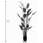 Διακοσμητικό Φυτό σε Γλάστρα Lucky i Inart Πράσινο Φ80x210εκ