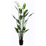 Διακοσμητικό Φυτό σε Γλάστρα Lucky i Inart Πράσινο Φ80x210εκ