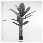 Διακοσμητικό Φυτό σε Γλάστρα Banana Tree Inart Πράσινο Φ53x190εκ