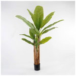 Διακοσμητικό Φυτό σε Γλάστρα Banana Tree Inart Πράσινο Φ53x190εκ