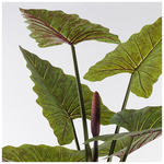 Διακοσμητικό Φυτό σε Γλάστρα Wentii Inart Πράσινο Φ130x180εκ