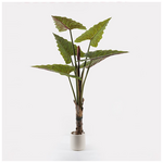 Διακοσμητικό Φυτό σε Γλάστρα Wentii Inart Πράσινο Φ130x180εκ