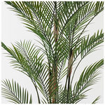 Διακοσμητικό Φυτό σε Γλάστρα Kwai Inart Πράσινο Φ125x180εκ