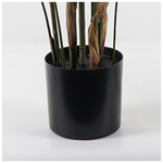 Διακοσμητικό Φυτό σε Γλάστρα Kwai Inart Πράσινο Φ125x180εκ