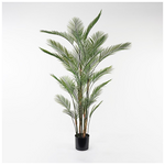 Διακοσμητικό Φυτό σε Γλάστρα Kwai Inart Πράσινο Φ125x180εκ