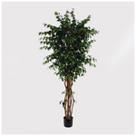 Διακοσμητικό Φυτό σε Γλάστρα Banyan Inart Πράσινο Φ95x180εκ