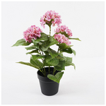 Διακοσμητικό Φυτό σε Γλάστρα Hydrangea Inart ροζ Φ35x50εκ