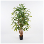 Διακοσμητικό Φυτό σε Γλάστρα Rhapis Palm Inart Πράσινο Φ60x120εκ