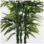 Διακοσμητικό Φυτό σε Γλάστρα Arti Bamboo Inart Πράσινο Φ70x150εκ