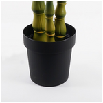 Διακοσμητικό Φυτό σε Γλάστρα Arti Bamboo Inart Πράσινο Φ70x150εκ