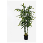 Διακοσμητικό Φυτό σε Γλάστρα Arti Bamboo Inart Πράσινο Φ70x150εκ