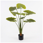 Διακοσμητικό Φυτό σε Γλάστρα Alocasia Inart Πράσινο Φ90x120εκ