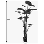 Διακοσμητικό Φυτό σε Γλάστρα Taro Plant Inart Πράσινο Φ90x180εκ