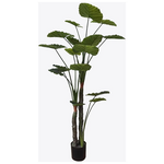 Διακοσμητικό Φυτό σε Γλάστρα Taro Plant Inart Πράσινο Φ90x180εκ