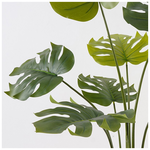 Διακοσμητικό Φυτό σε Γλάστρα Deliciosa Inart Πράσινο Φ94x120εκ