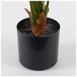 Διακοσμητικό Φυτό σε Γλάστρα Deliciosa Inart Πράσινο Φ94x120εκ